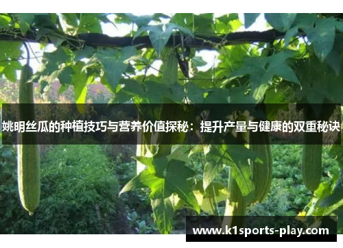 姚明丝瓜的种植技巧与营养价值探秘：提升产量与健康的双重秘诀