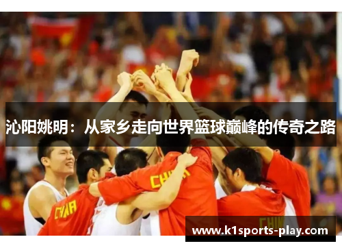 沁阳姚明：从家乡走向世界篮球巅峰的传奇之路
